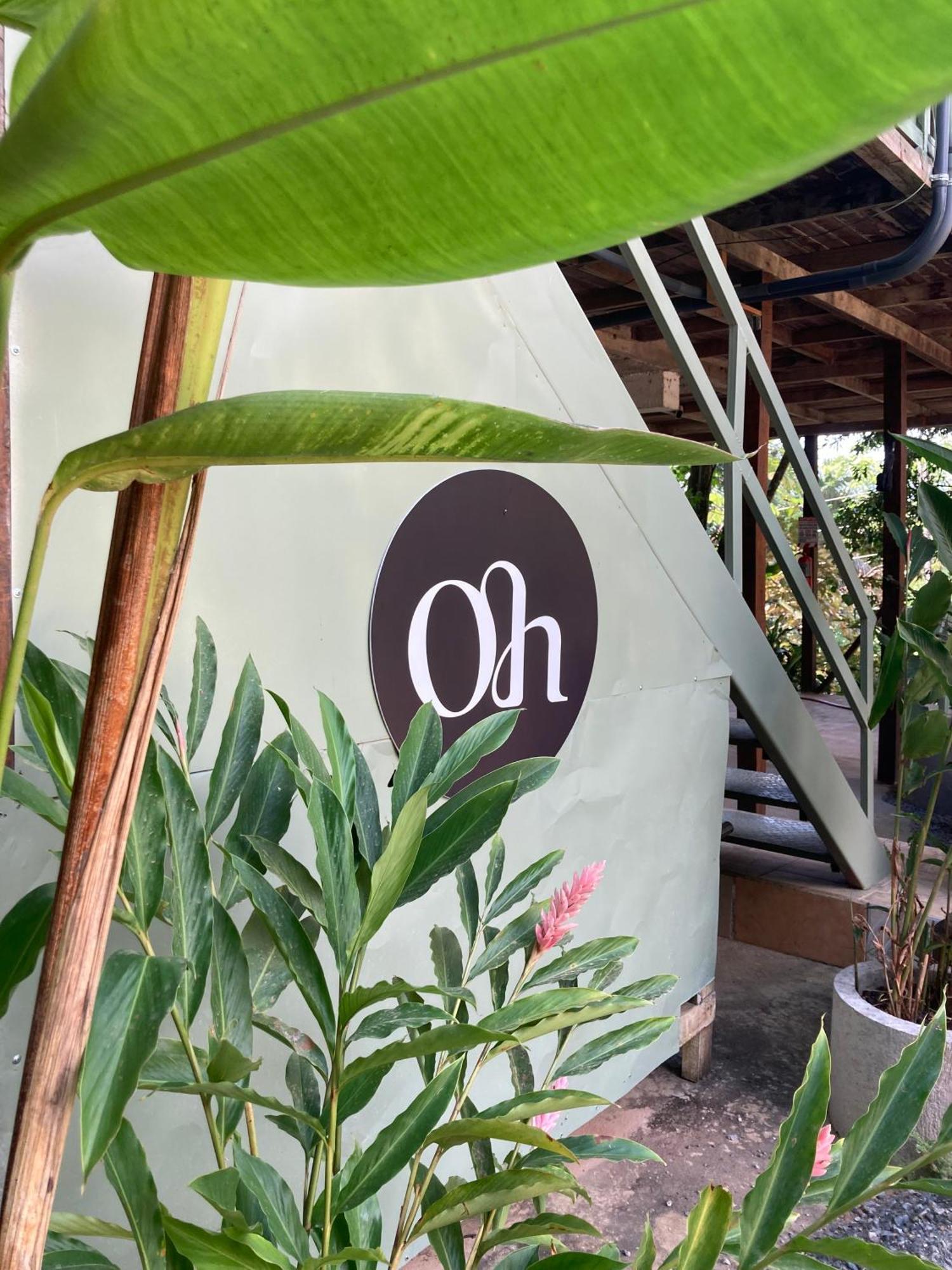 אוביטה Casa Oh - Oceanview Guesthouse מראה חיצוני תמונה