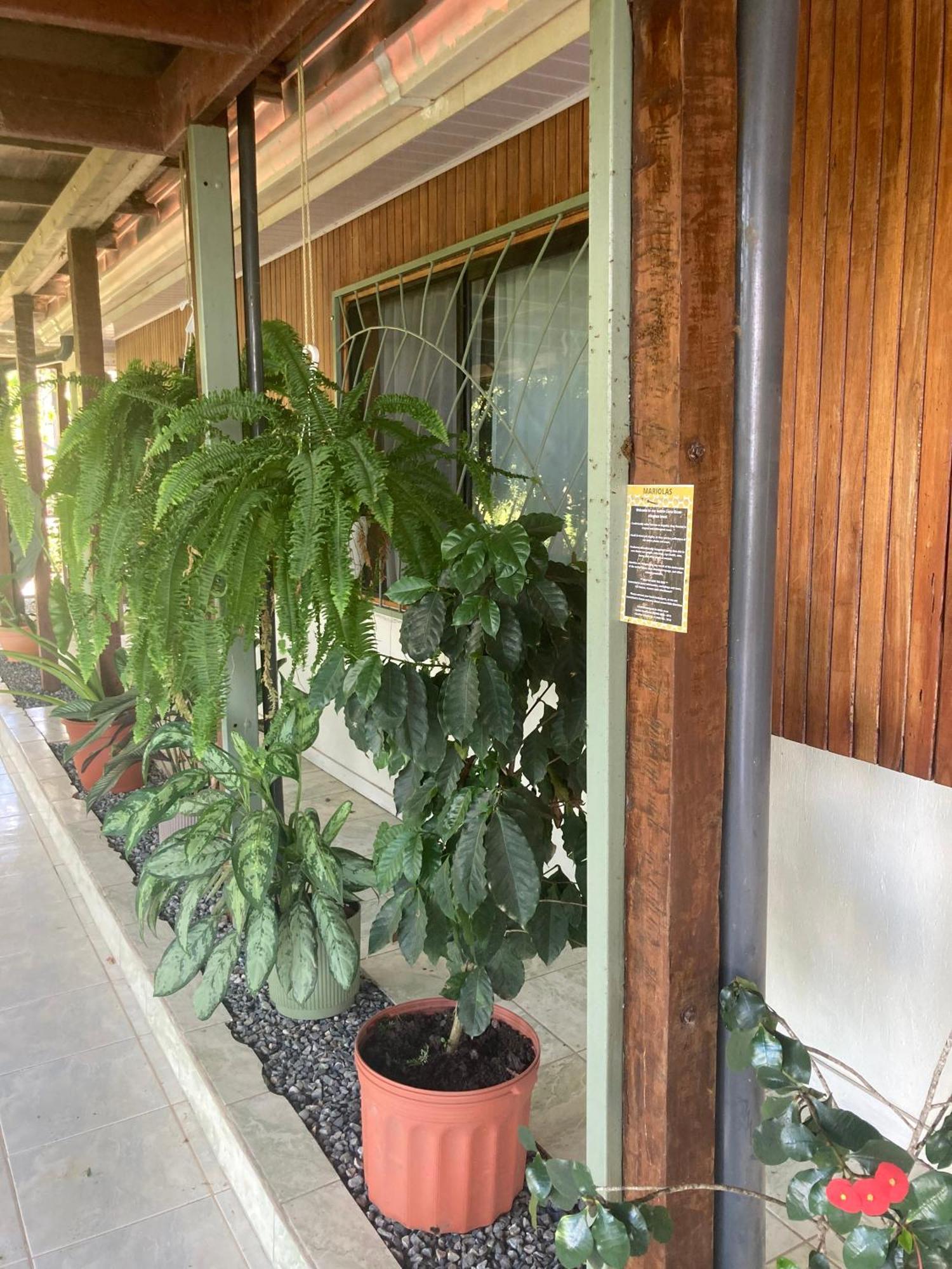 אוביטה Casa Oh - Oceanview Guesthouse מראה חיצוני תמונה